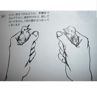 grp0519161637.jpg