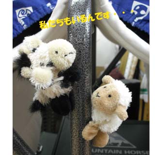 grp0609194042.jpg
