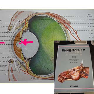 grp0616184452.jpg