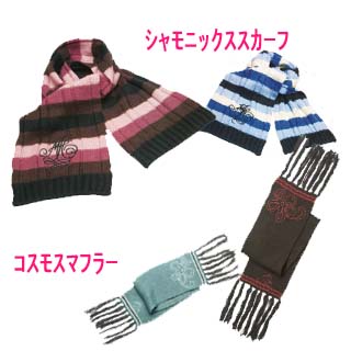 grp1026151555.jpg