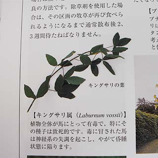 grp1105192848.jpg