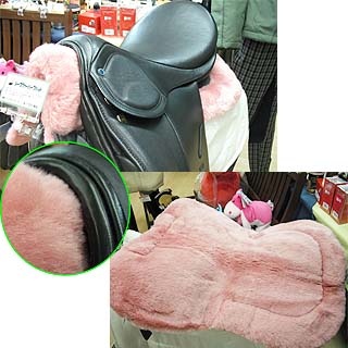 grp1120185151.jpg