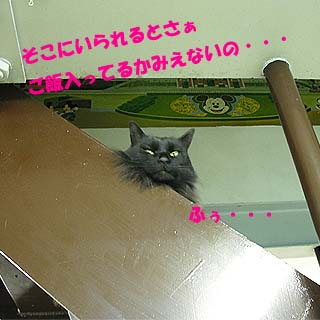 grp0126165237.jpg