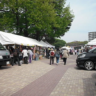 grp0504140943.jpg