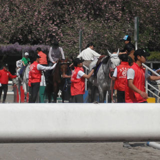 grp0504142813.jpg