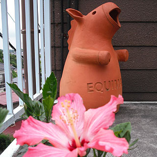 grp0528200312.jpg