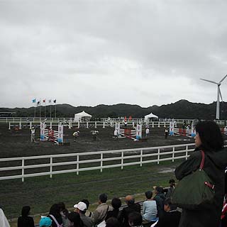 grp1012185220.jpg