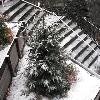 grp0211155046.jpg