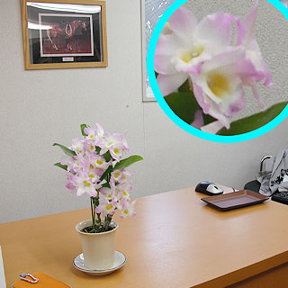 grp0324194635.jpg