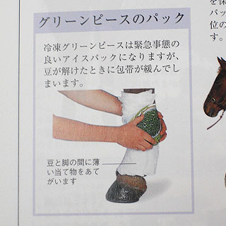 grp0329195511.jpg