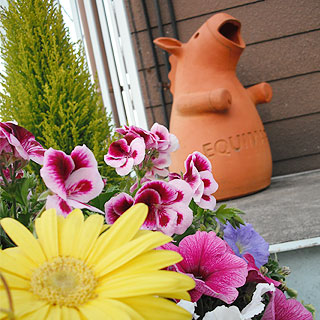 grp0414123759.jpg