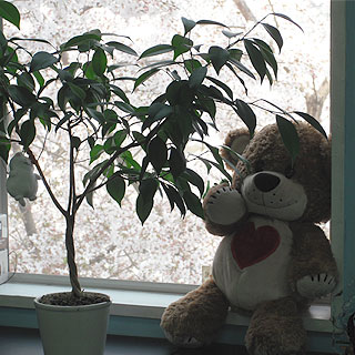 grp0415210518.jpg
