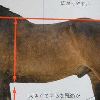 grp0716200324.jpg