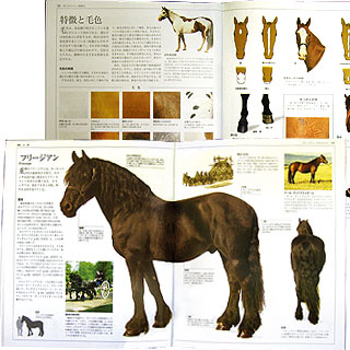 grp1104191020.jpg