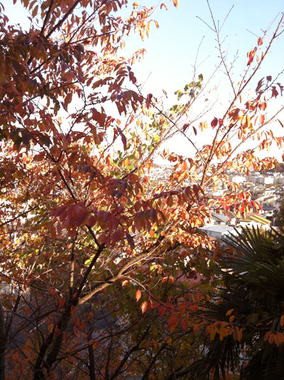 grp1123160249.jpg