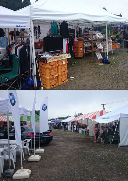 grp0802180119.jpg