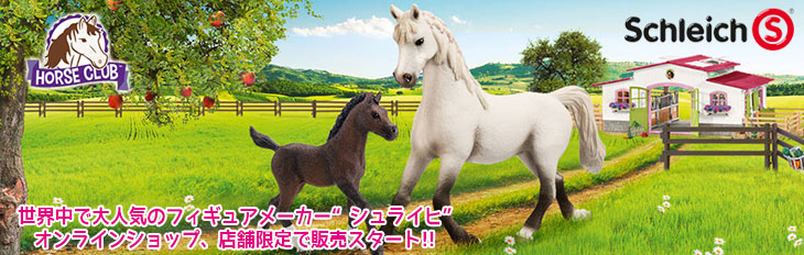 schleichbana